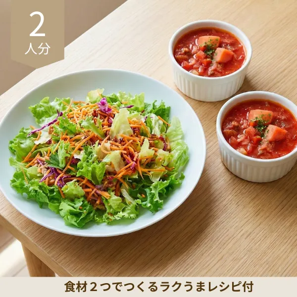 ボルシチとキャロットラペの副菜セット (大人2人)