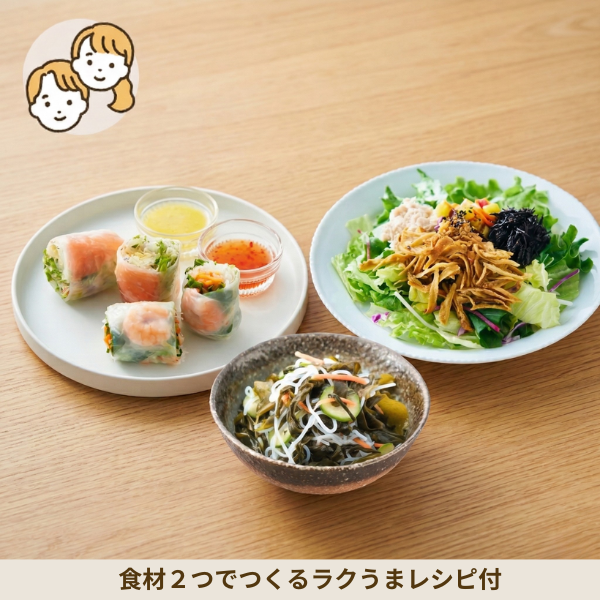 生春巻きと揚げごぼうサラダの副菜セット (大人2人)