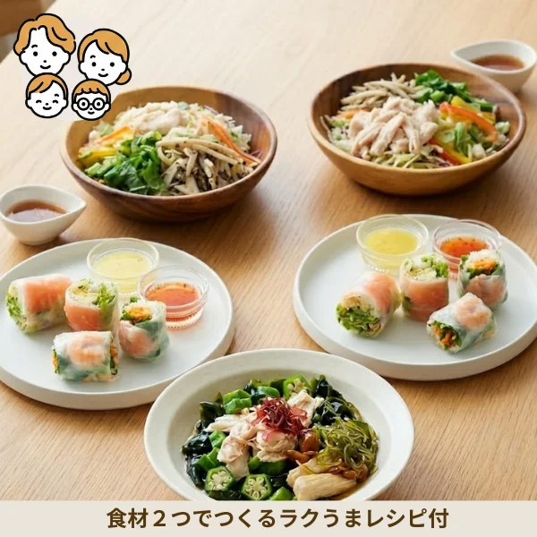 彩り生春巻きとさっぱりサラダの副菜セット (ファミリー)