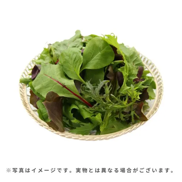 国内産 ベビーリーフ