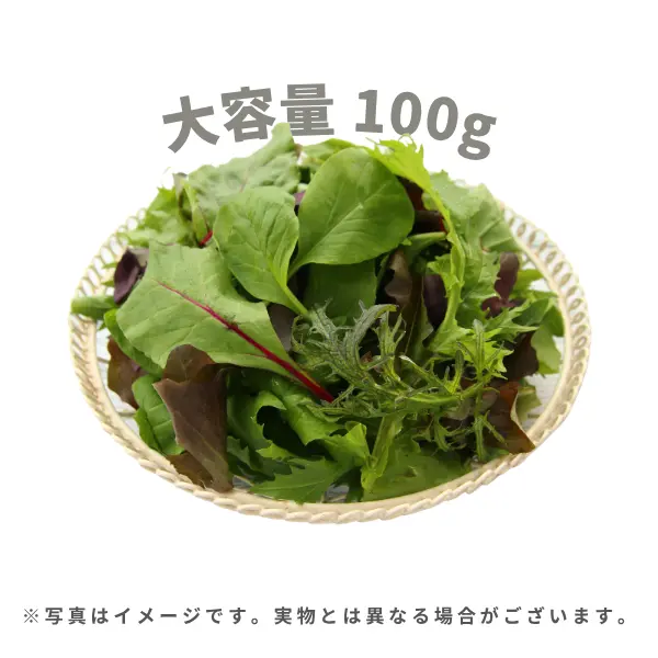 国内産 ベビーリーフ