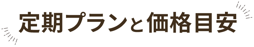 定期プランと価格目安